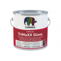 TRIMAXX GLOSS TEINTE