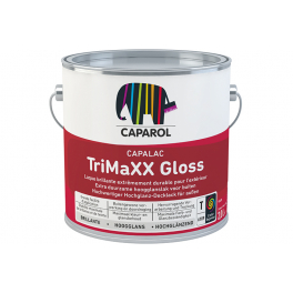 TRIMAXX GLOSS TEINTE